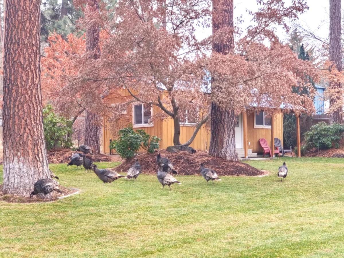 Villa The Base Camp Spokane Exterior foto